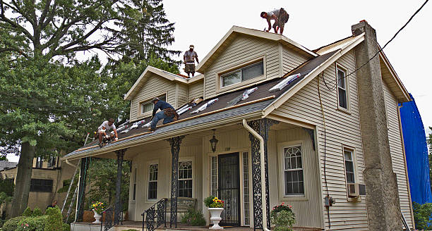 Best Commercial Roofing Services  in Elkins, AR