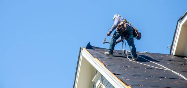 Roof Gutter Cleaning in Elkins, AR